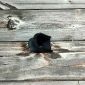 Упор-удлинитель для пускового устройства ПУ-4 от А+ Упор-удлинитель для пускового устройства ПУ-4 от А+